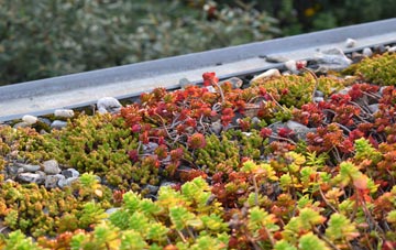 the cost of Glencoe green roof installation