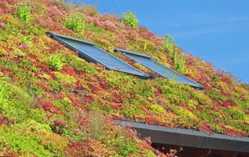Glencoe living roof systems
